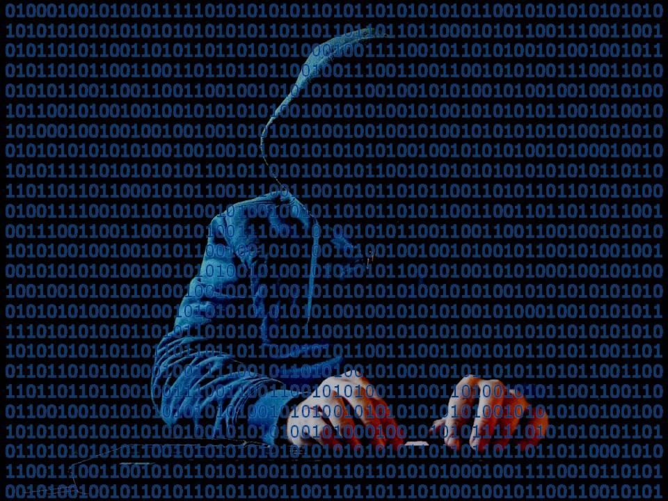 Российский след в хакерской атаке на ВАДА