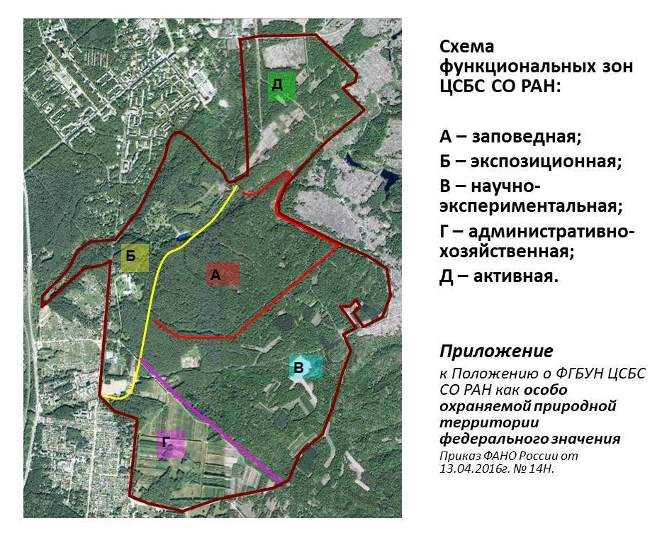 План академгородка новосибирск