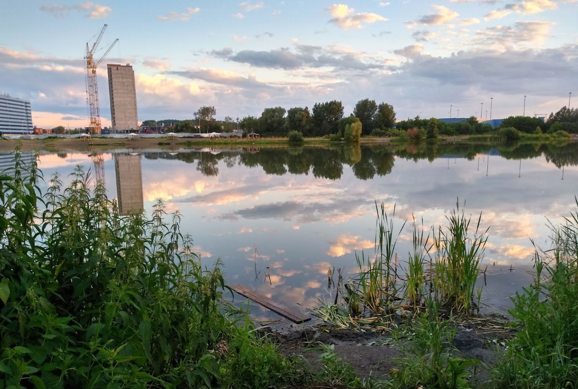 Благовещенка новосибирск фото