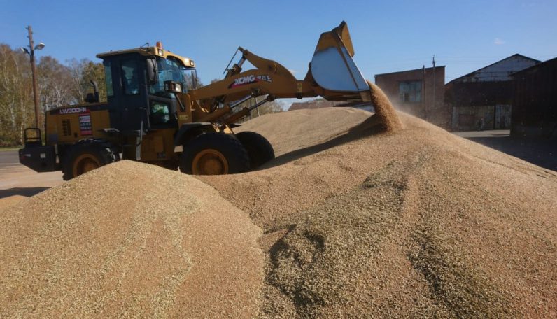 Губернатор поздравил аграриев двух районов с завершением уборки зерновых