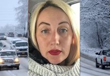 В Бердске завершено расследование резонансного дела об убийстве автомобилистки