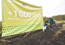 Андрей Травников посадил сосны в рамках акции S7 «Мы – Сибирь»