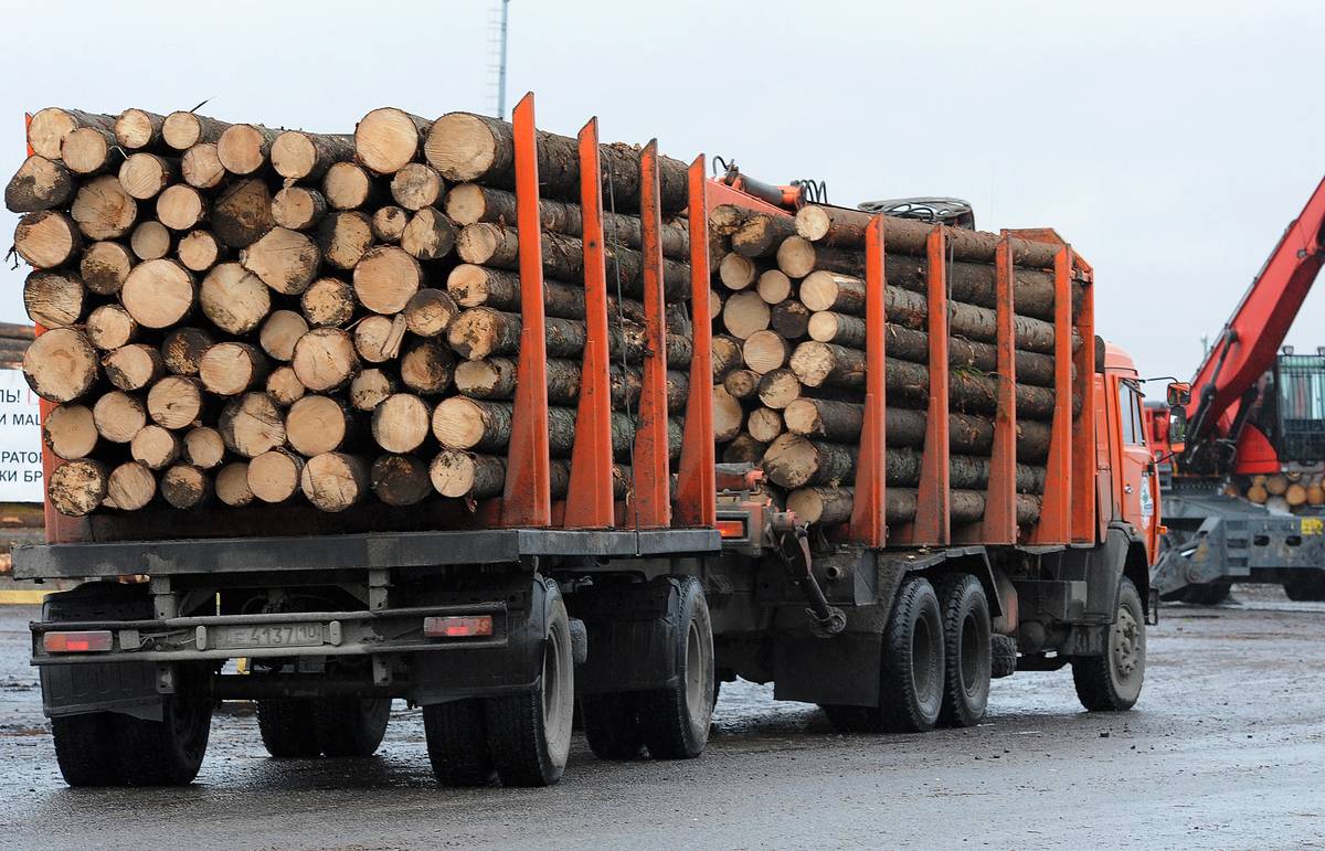 Новосибирская таможня пресекла 36 попыток вывоза леса за пределы страны