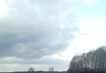 Прокуратура Сочи ищет компанию, устроившую демпинг в Новосибирске