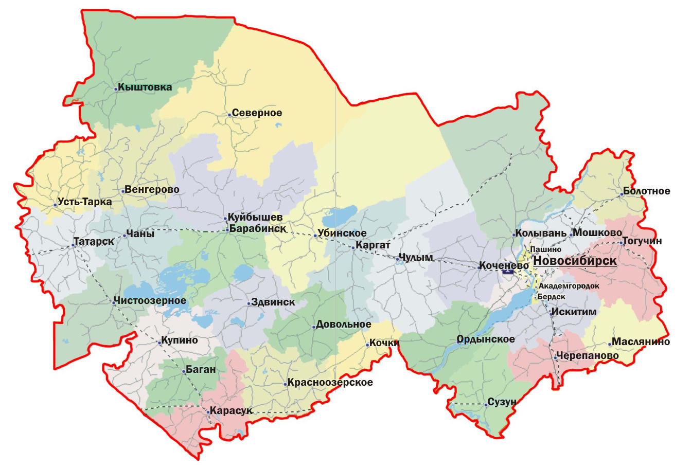 В Новосибирской области осталось 6 районов без коронавируса