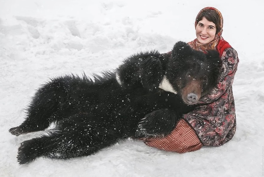 Новосибирская дрессировщица ищет жилье для квартета медвежат
