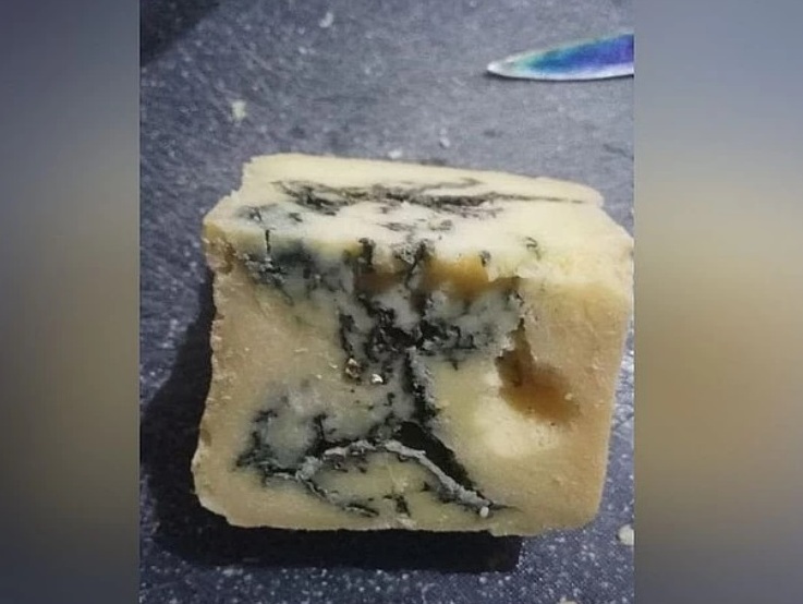 Бывший новосибирский полицейский накормил кур сыром с плесенью