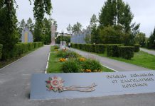 Новосибирская область отметит 300-летие Куйбышева