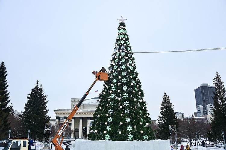 Новосибирская елка заняла 6-е место в стране по популярности
