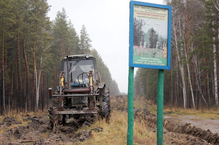 Создание новых лесных дорог — одна из противопожарных мер