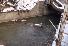 В городской вони обвиняется ливневка