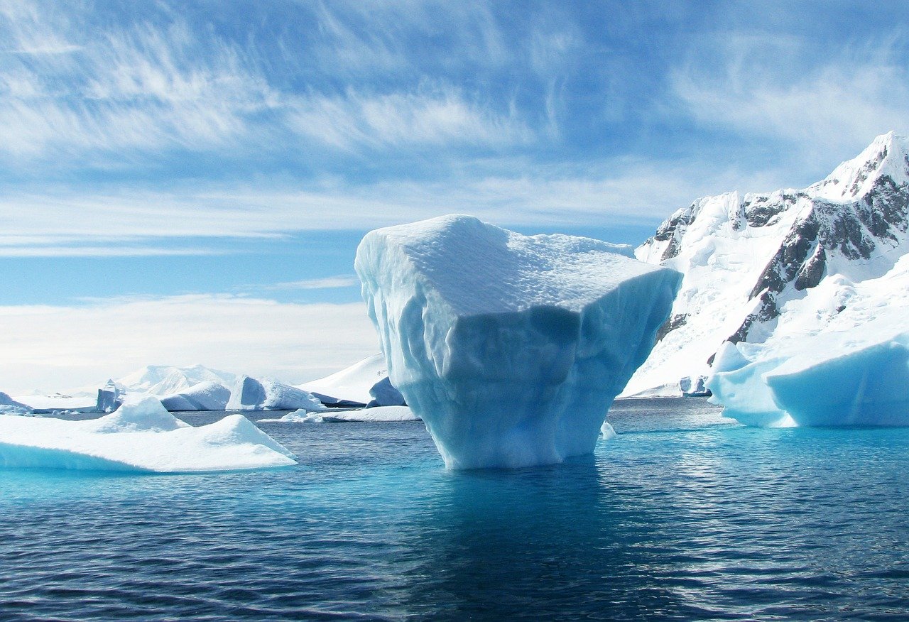 В официальном календаре праздников может появиться День Антарктиды