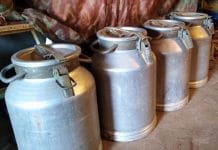 Новосибирца Лихомыслю за украденные фляги отправили в колонию