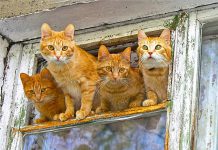 Потеплеет так, что все удивятся: прогноз погоды в Новосибирске на март