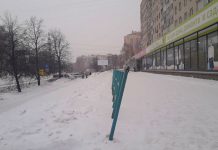 В Новосибирске одобрили послабления для общепита и культуры