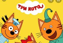 Телеканал СТС судился новосибирским бизнесменом из-за трех котов