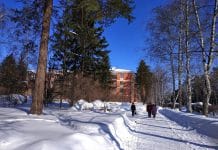 Новосибирску обещают новое похолодание до -25С