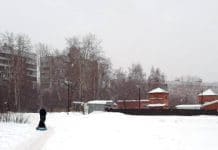 Скверное дело: арестован проданный участок рынка в Щ