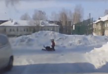 В Новосибирске возбуждено уголовное дело после нападения собаки на девочку