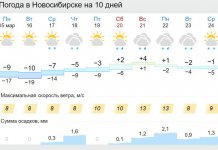 Синоптики обещают новосибирцам потепление в выходные