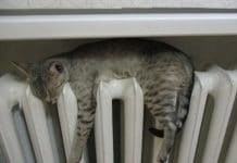 Новосибирские власти назвали дату завершения отопительного сезона