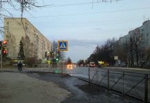 В Новосибирской области числится более 43 тыс. самозанятых