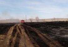 За неделю в Новосибирской области произошло более 700 палов травы