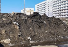 «Грязнуля неумытый»: Варламов назвал Новосибирск самым грязным городом