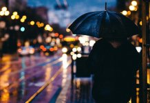 Грозы и заморозки до -3°С ожидаются в Новосибирской области