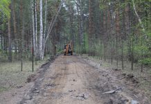 Благоустройство Заельцовского парка закончат раньше назначенного срока