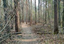 МЧС передает новосибирцам очередное штормовое предупреждение