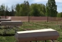 Копатели могил устроили соревнования в Новосибирске