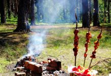 Синоптики и МЧС обещают Новосибирску сильный ветер 3 и 4 мая