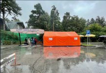 Новосибирцы вновь могут привиться от COVID-19 у зоопарка