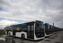 Три новых автобусных маршрута создадут в Новосибирске