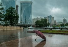 В Новосибирской области похолодает и зарядят дожди