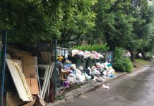 За завалы мусора в центре города на «Экологию-Новосибирск» завели дело