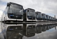 Перед чемпионатами власти Новосибирской области закупят 150 новых автобусов