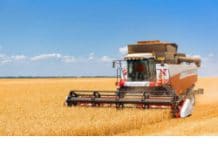 Регион наращивает объемы переработки сельхозпродукции и площади хранения зерна