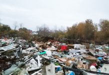 Посреди Соснового бора в Новосибирске нашли огромную свалку