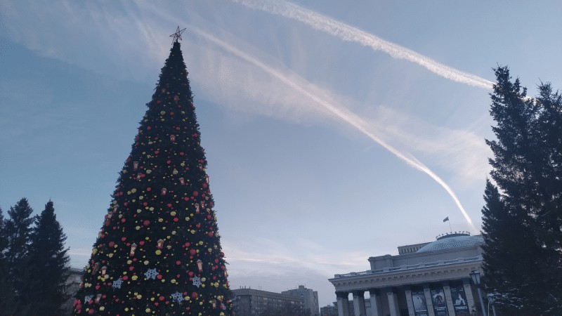 В Новосибирске установили главную новогоднюю елку