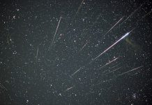 Звездопад Леониды смогут наблюдать новосибирцы в ноябре