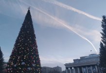 В Новосибирске установили главную новогоднюю елку