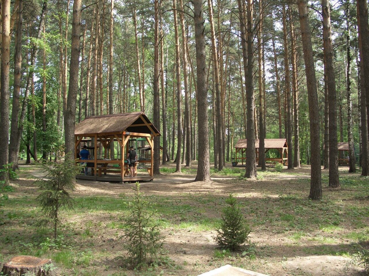 Сосновый Бор (парк, Новосибирск)