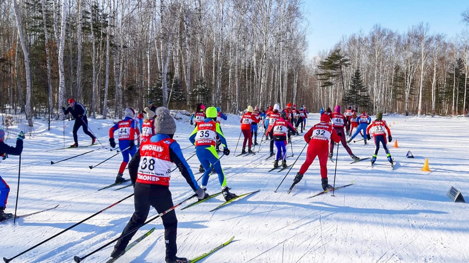 Пиктограммы Олимпийских видов спорта 2022