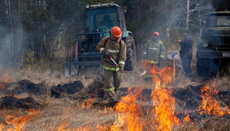 В Новосибирской области объявлена чрезвычайная пожароопасность
