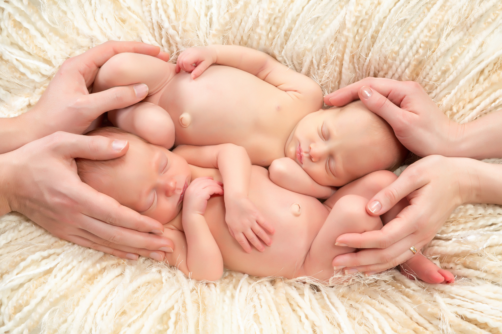 близнецы в утробе матери фото