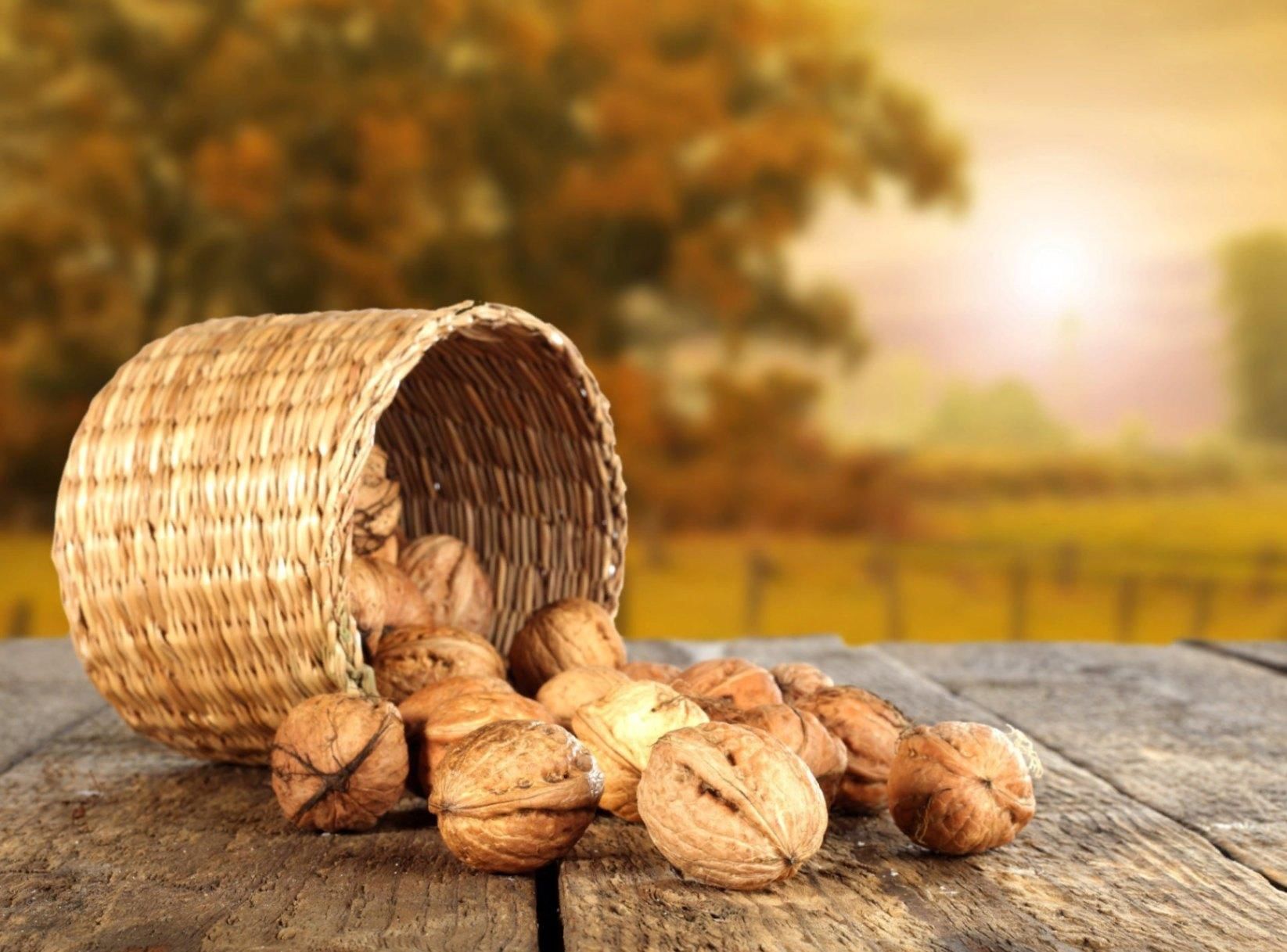 Ореховый и хлебный спас