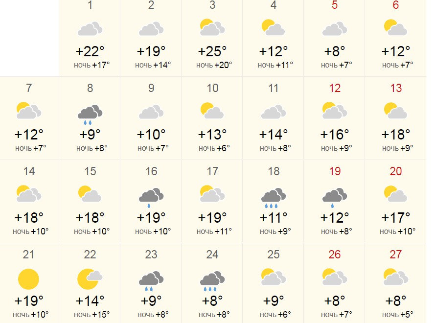 Новосибирск погода 14 неделю. Погода в Новосибирске. Погода на завтра в Новосибирске. Погода в Новосибирске сейчас. Погода на сентябрь.