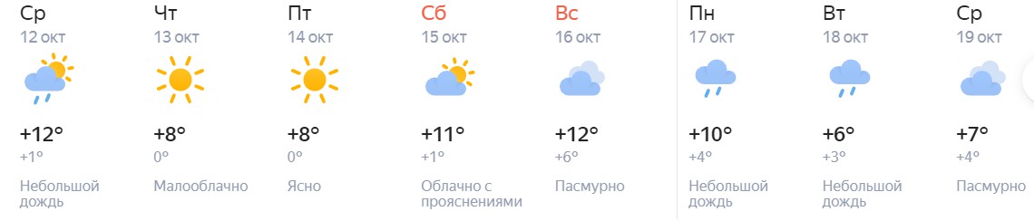 Погода новосибирск 4 декабря. Климат Новосибирска. Какая погода летом в Новосибирске. Погода Новосибирск Скриншоты. Погода на НГС В Новосибирске на 3 дня.